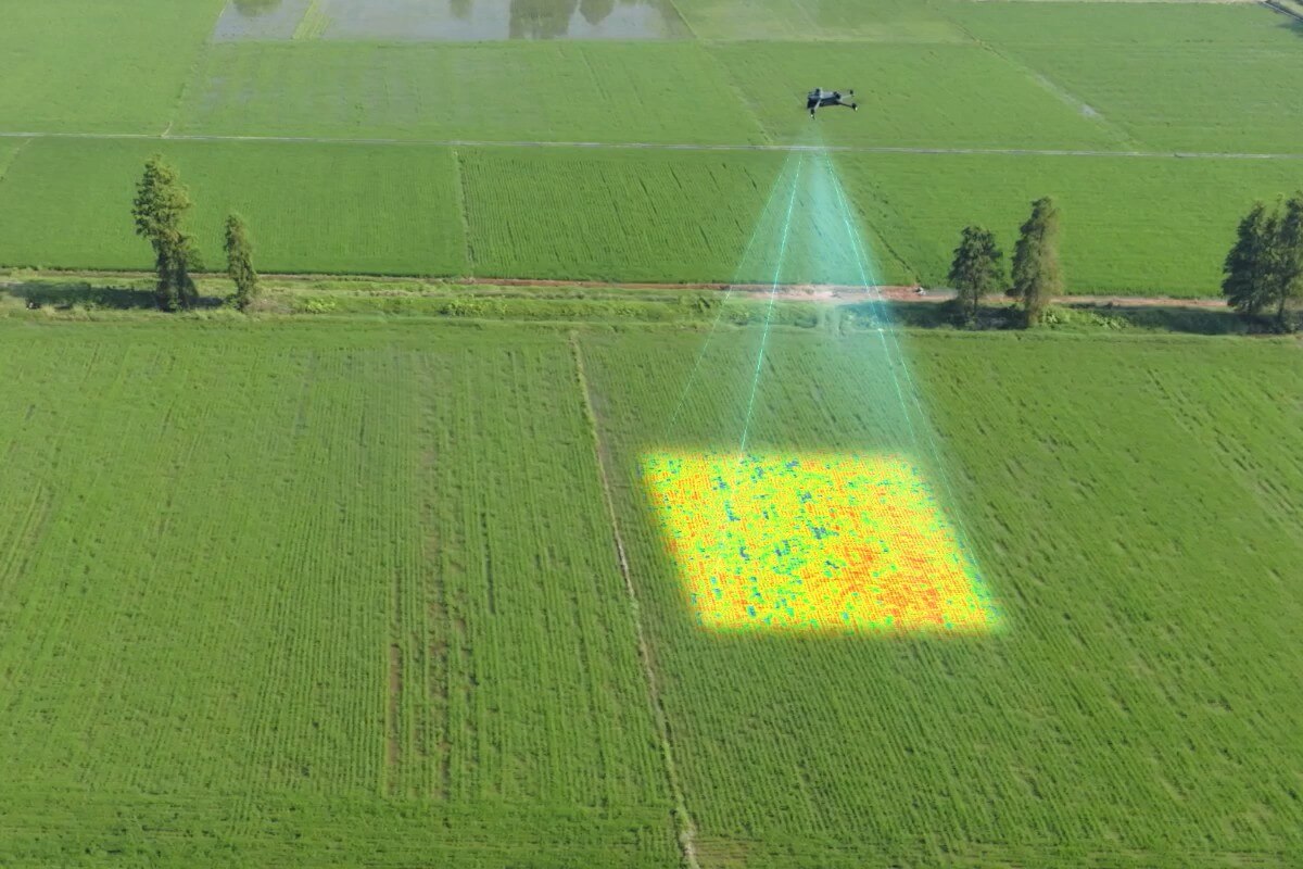 Análisis multiespectral NDVI